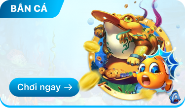 Af357B094E603D51205C977031062Dff